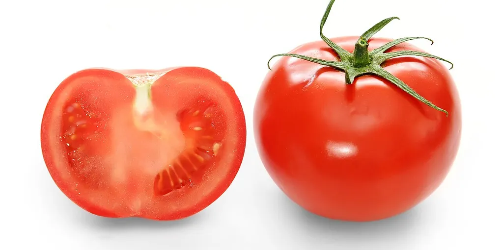 How to Grow Tomatoes: 10 Steps From Seed to Harvest