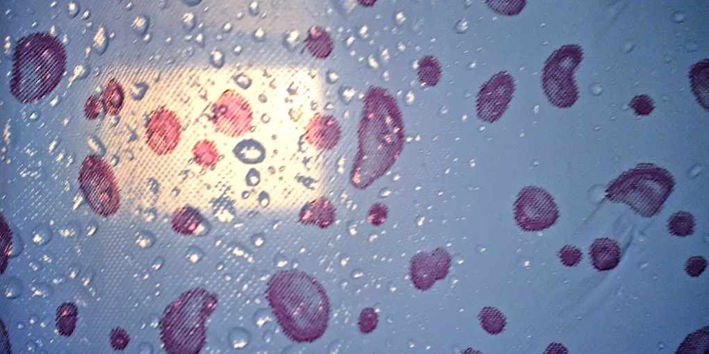 How to Clean a Shower: 9 Steps That Actually Work