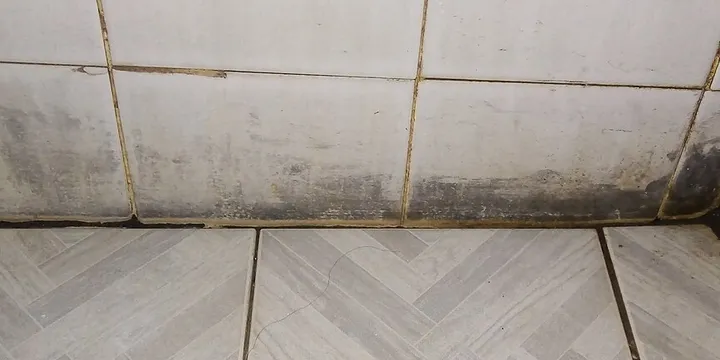 How to Get Rid of Mold: 10 Steps for Walls, Shower and Basement