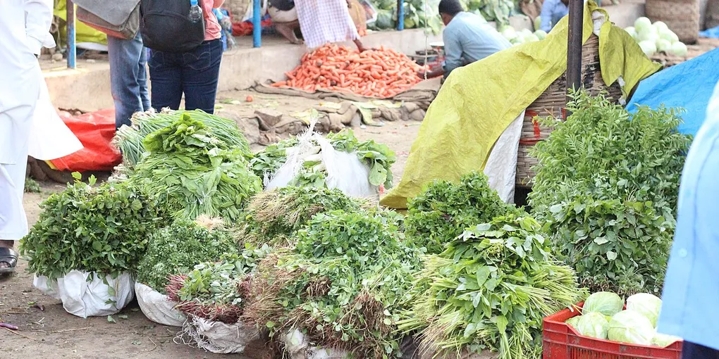 How to Grow Vegetables in Pots: A Beginner's Guide
