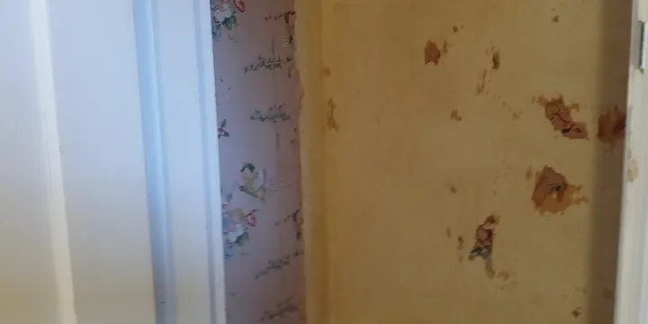 How to Remove Wallpaper: 10 Steps for Cleaner, Smoother Walls