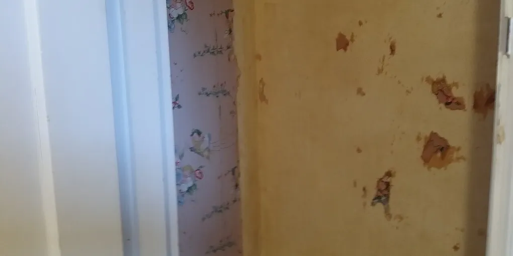How to Remove Wallpaper: 10 Steps for Cleaner, Smoother Walls