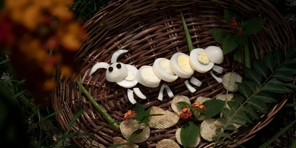How to Boil Eggs: 8 Steps to Easy Peeling